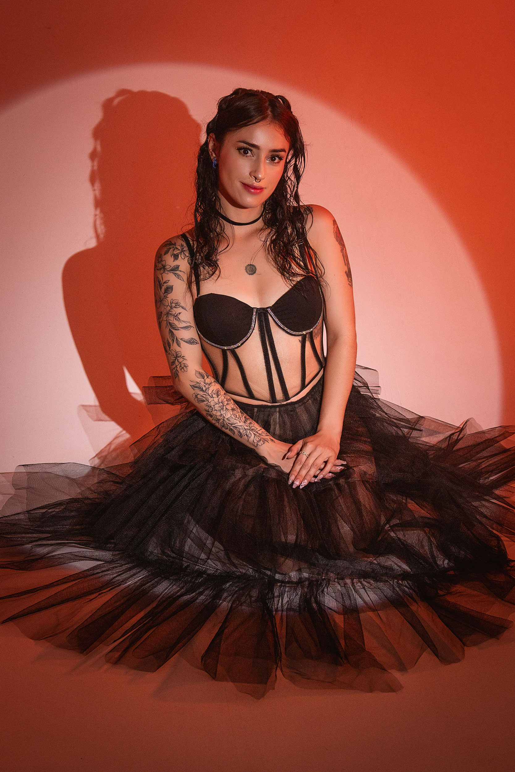 Modelo en transmisión